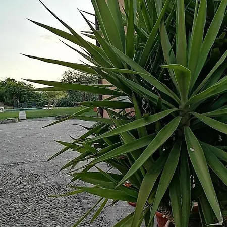 Bed & Breakfast Ronco Degli Ulivi Iseo