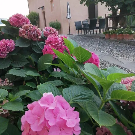 Ronco Degli Ulivi Bed & Breakfast