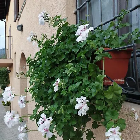 Ronco Degli Ulivi 4* Iseo