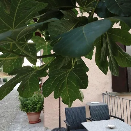Bed & Breakfast Ronco Degli Ulivi