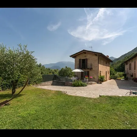 Ronco Degli Ulivi *