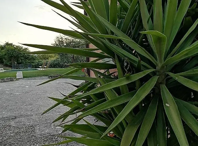 Frühstückspension Ronco Degli Ulivi Iseo