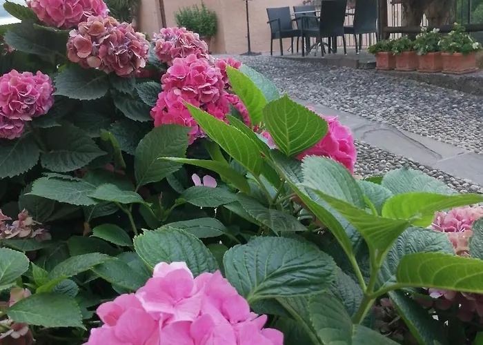 Ronco Degli Ulivi Frühstückspension