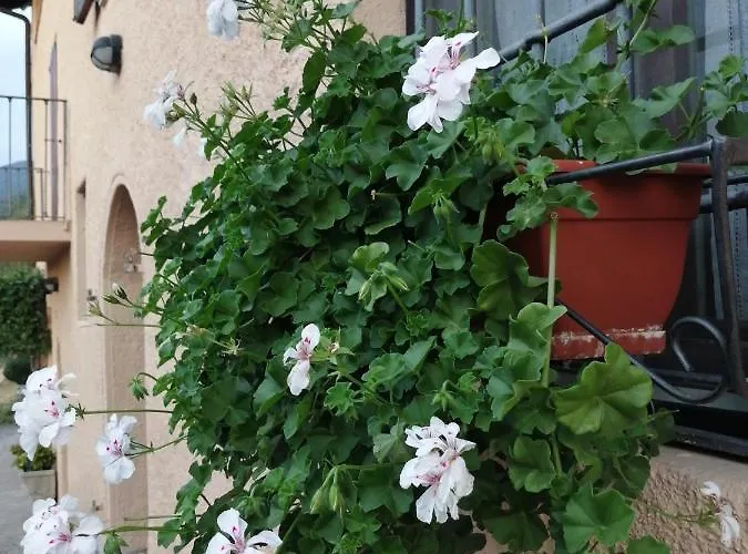 Ronco Degli Ulivi 4* Iseo