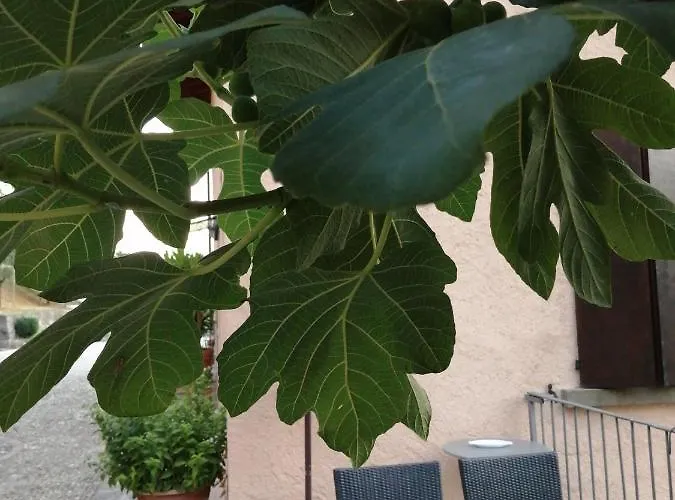 Frühstückspension Ronco Degli Ulivi